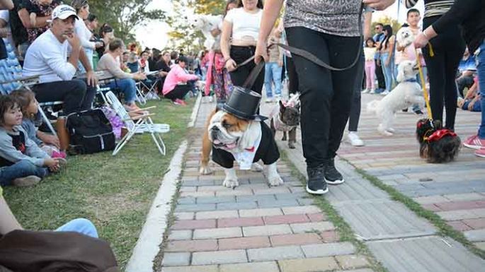 Una multitud disfrutó del “maravilloso día de perros”