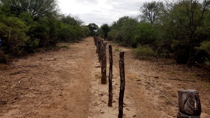 Cortadas perimetrales para detener el fuego