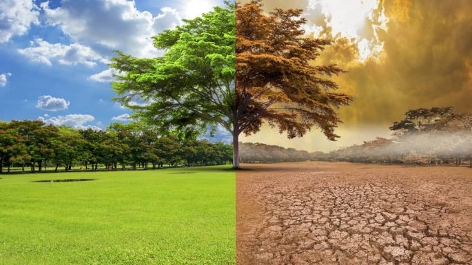 Dictarán un taller para docentes sobre Cambio Climático y Desarrollo Sustentable