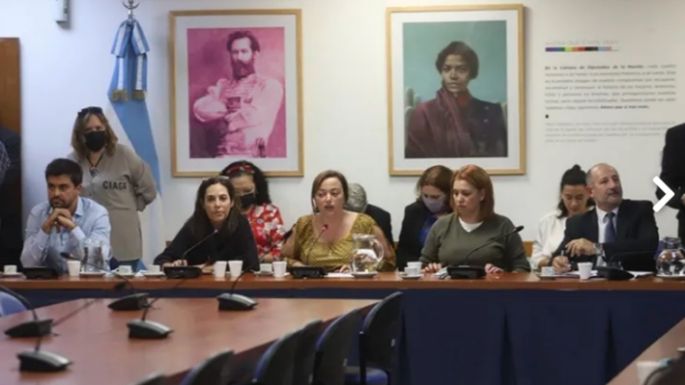 Buscarán modificar la ley