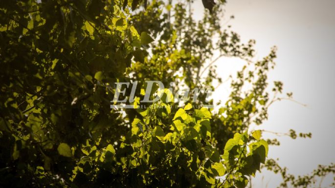 Primero de Mayo: Los villamarienses disfrutaron el día al aire libre