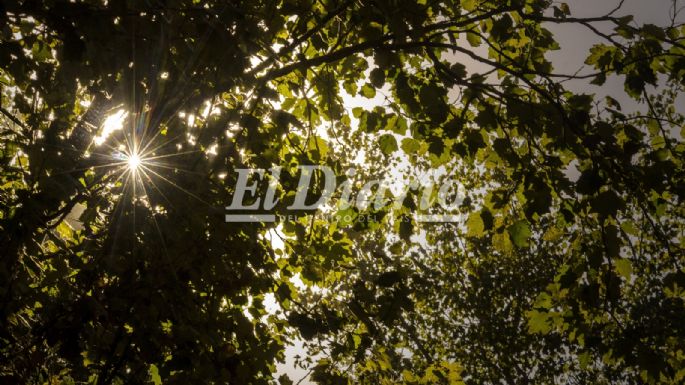 Primero de Mayo: Los villamarienses disfrutaron el día al aire libre