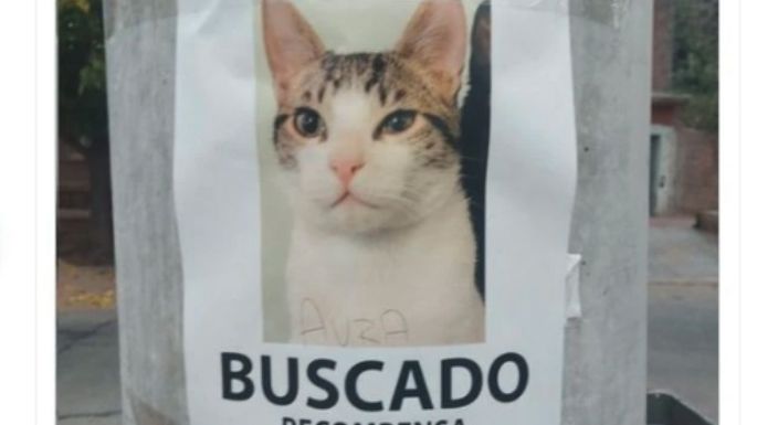 “Dos birras frías”