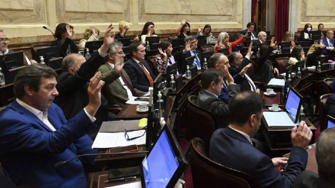 Media sanción del Senado para la creación de un fondo para pagarle al FMI con dinero fugado