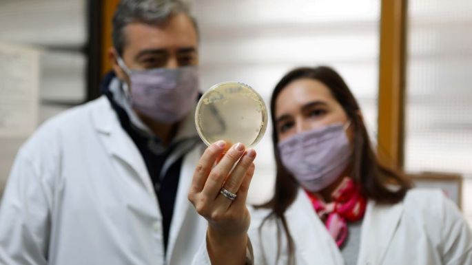 Buscan convertir deschos lácteos en biocombustibles