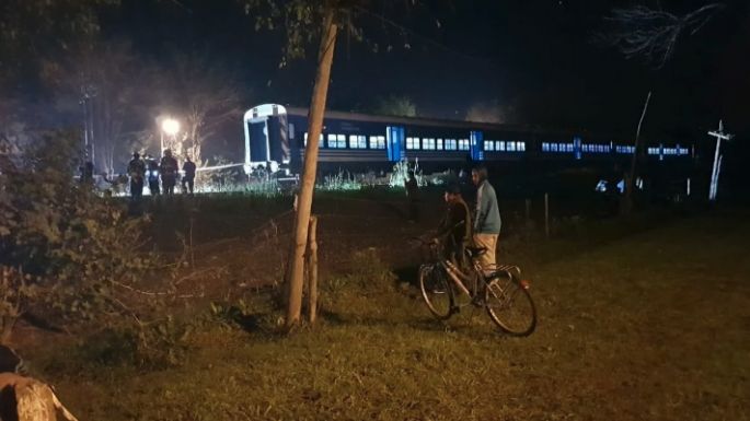 Dos niños murieron arrollados por un tren tras querer rescatar a un perro