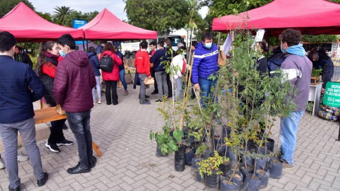 Ecofiesta por el Día Mundial del Reciclaje