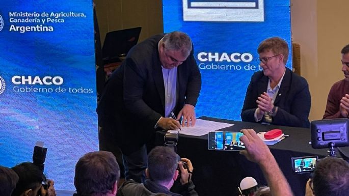 Empresa local apoya la producción de un algodón de primera calidad