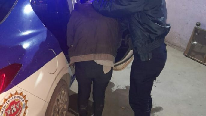 Detuvieron a una mujer por romper una perimetral
