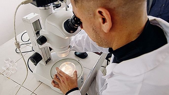 Abrió la convocatoria para investigaciones innovadoras