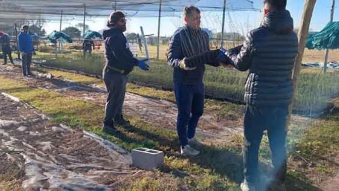 Más de 40 mil ejemplares para el vivero