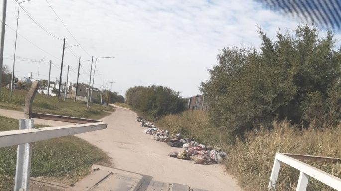 Vecinos de barrio Industrial sufren la cantidad de basura que tiran en la calle