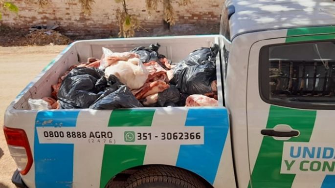 Decomisaron 500 kilos de carne