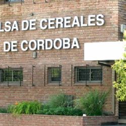 Bolsa de cereales de Córdoba: con imágenes satelitales pudieron calcular cuántas hectáreas hay con alfalfa