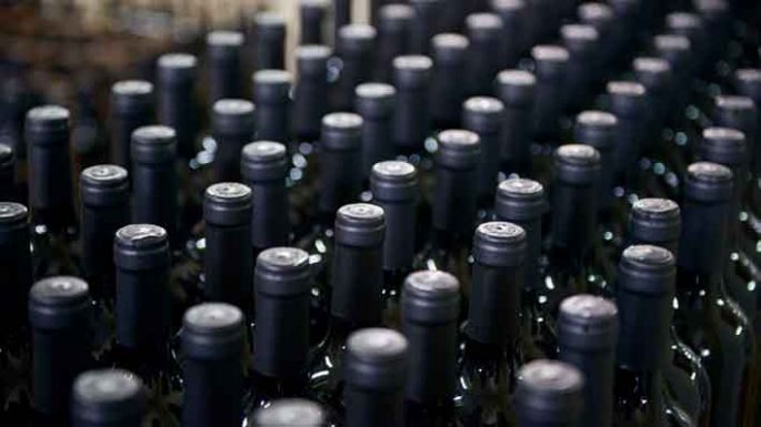 Apuestan por vinos sustentables
