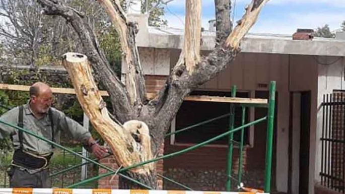 Pasó el singular Encuentro Provincial de Escultores de Arboles Secos “Raíces”