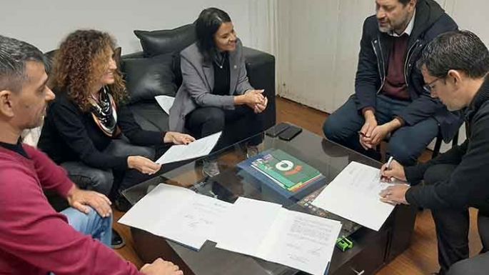 Unos 14 estudiantes realizarán prácticas
