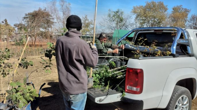El Vivero Municipal donó 40 árboles para el predio del CEC