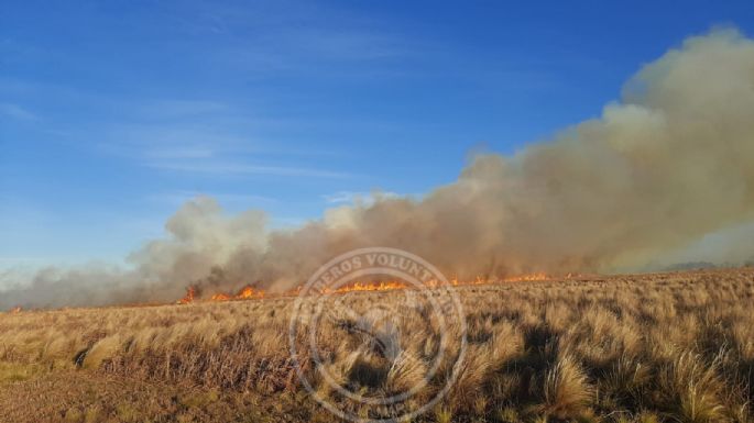 Bomberos trabajaron durante tres horas para sofocar un incendio de pastizales