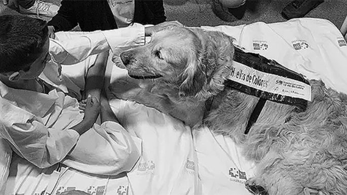 Mascotas y pacientes en un hospital