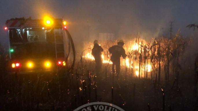 Sofocaron un incendio en un campo sembrado con maíz