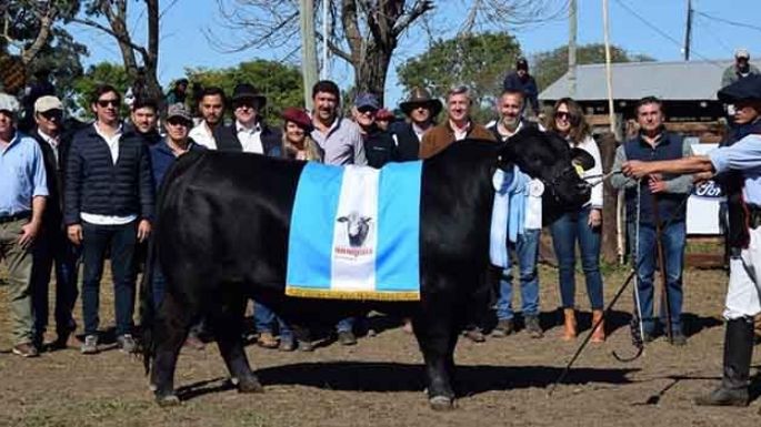 Oliva obtuvo el Gran Campeón en Brangus