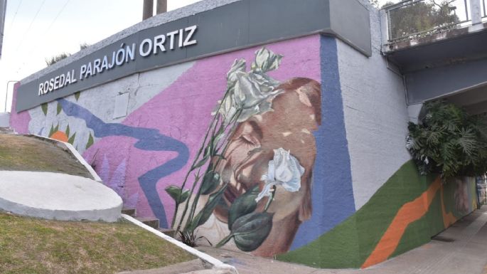 El mural del puente Alberdi está casi terminado