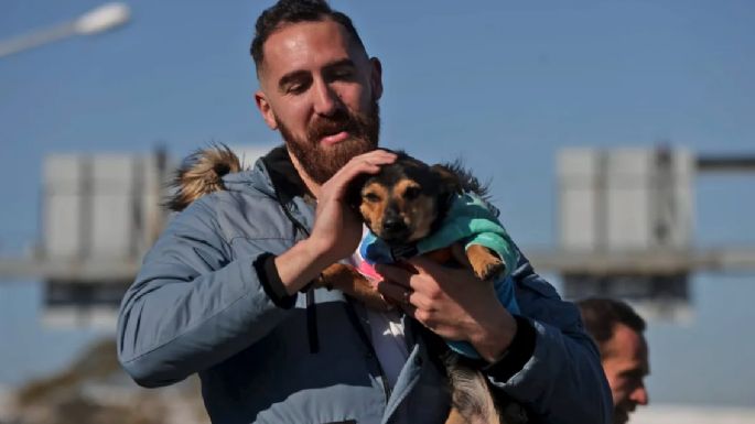 El perro Coco terminó la cuarentena y vuelve con su familia a Córdoba