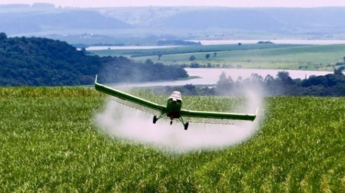 Estados Unidos: La Corte Suprema confirma condena a Monsanto por el uso de glifosato