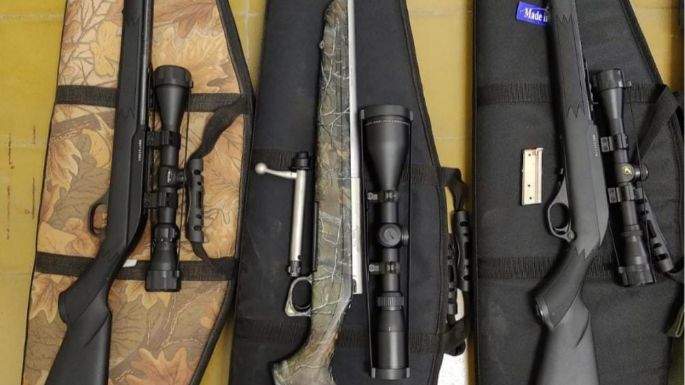 Avanzan con el proyecto para regularizar la tenencia de armas