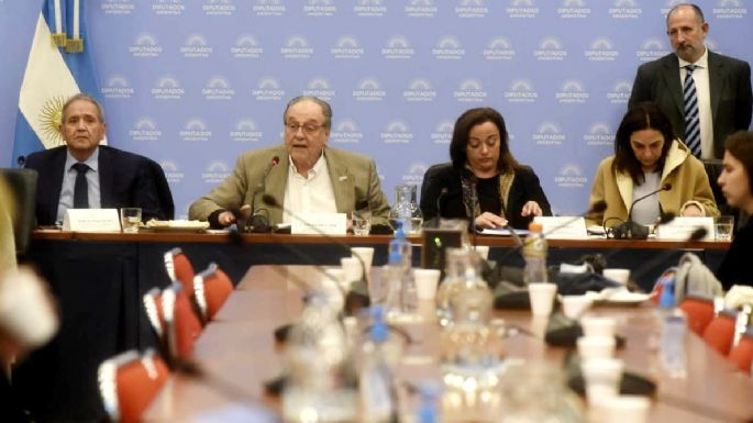 Diputados: dictamen de mayoría para el pago al FMI con dinero fugado