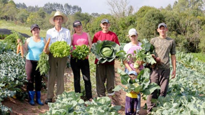 Habrá 100 millones de dólares para la agricultura familiar