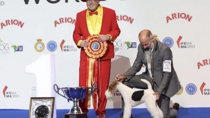 Un perro campeón mundial