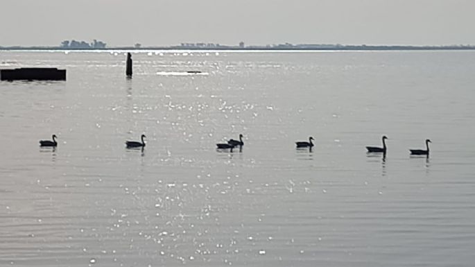 Declaran Parque Nacional a la Reserva de Ansenuza, con el mayor lago salado de Sudamérica