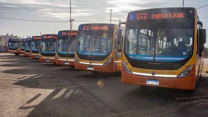 Empresa de transporte urbano de la Docta sumó 30 unidades nuevas