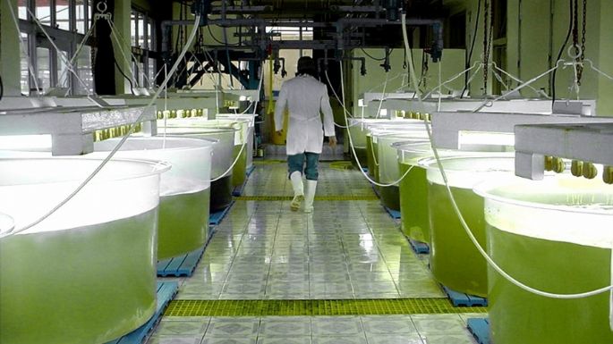 Biocombustibles: diputado cordobés denunció que el Gobierno nacional alteró el dictamen firmado
