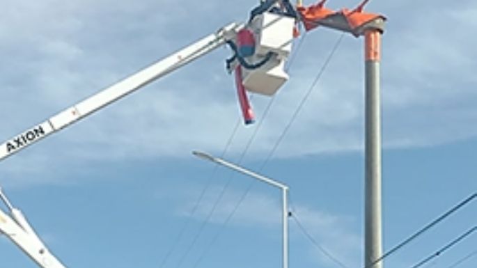 Un oficio que defienden con energía