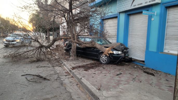 Violento impacto de un auto contra un árbol en pleno centro