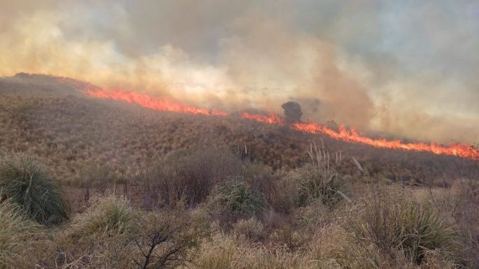 Bomberos combaten el fuego en Camino del Cuadrado