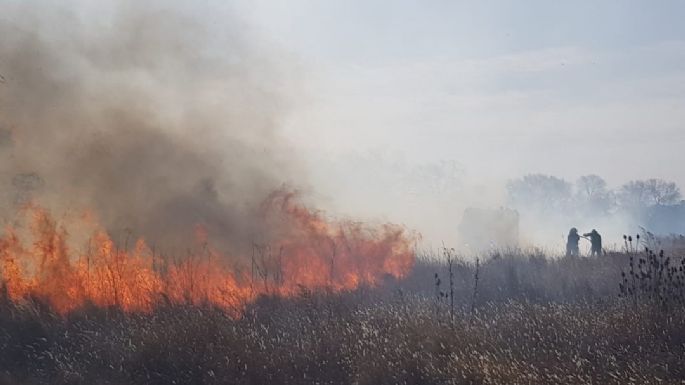 Bomberos sofocaron incendio de pastizales