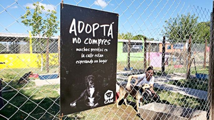 Reclamos por la suspensión de castraciones