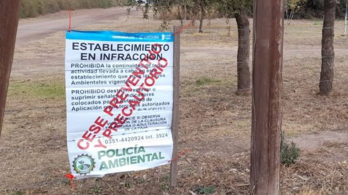 Detectaron tres intervenciones forestales sobre bosque nativo