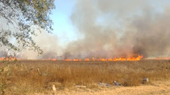 El fuego llegó hasta el patio de las viviendas