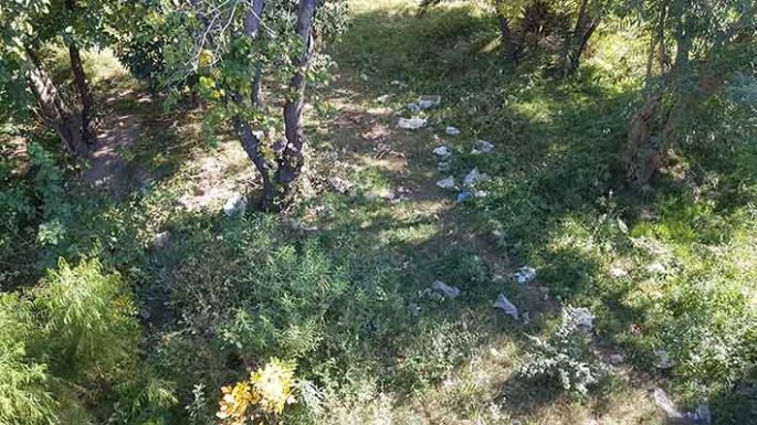 “Hay trabajo para la Patrulla Ambiental”