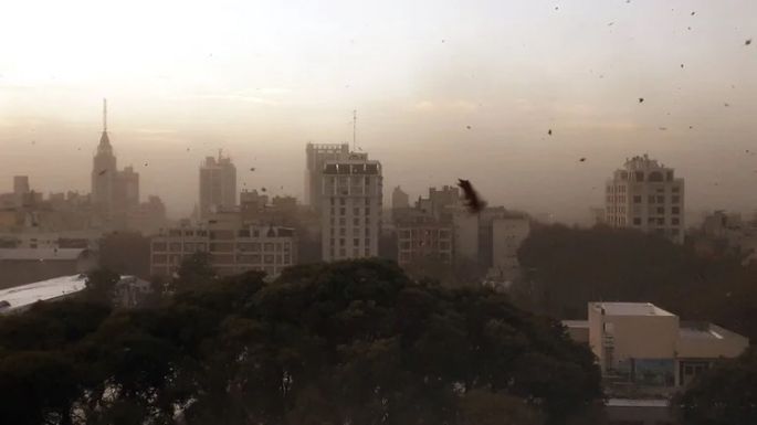 Árboles caídos, voladura de techos e incendios por el viento Zonda en Mendoza