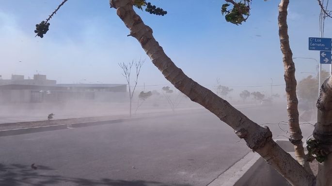 Árboles caídos, voladura de techos e incendios por el viento Zonda en Mendoza
