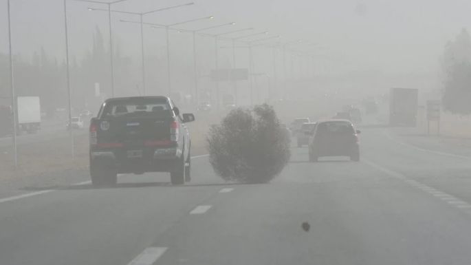 Árboles caídos, voladura de techos e incendios por el viento Zonda en Mendoza