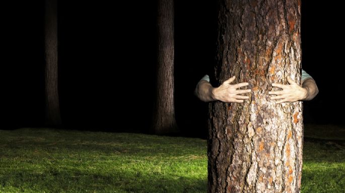 Quiso esconderse detrás de un árbol y terminó preso