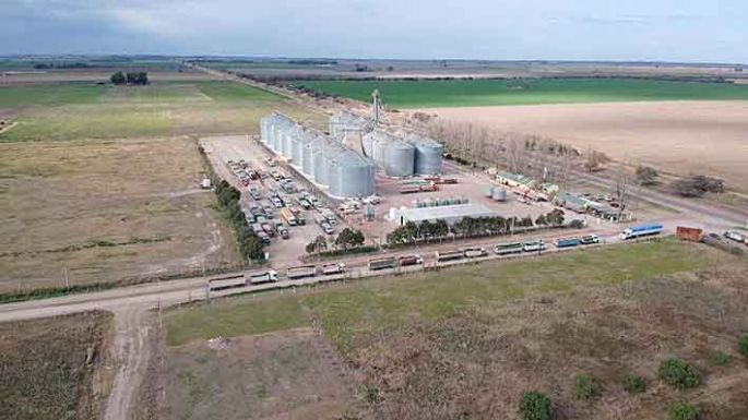 Un sector con “potencial para seguir creciendo”