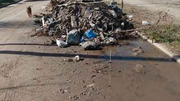 Contra una pila de basura